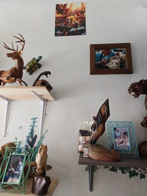 Wood-Art Gallery at Wake Up Vallarta in Puerto Vallarta