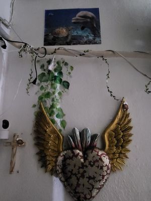 All Vegan 🌱 at Wake Up Vallarta in Puerto Vallarta