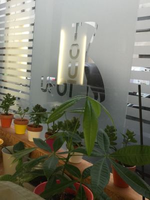 Nice athmosphere at Toutofu in Paris