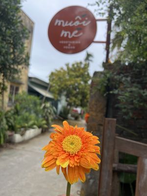   at Muoi Me Vegetarian & Vegan in Hoi An