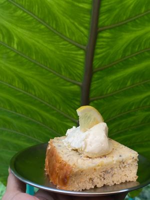 Lemon chia seeds pound cake at Muoi Me Vegetarian & Vegan in Hoi An