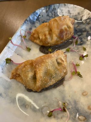 Mr Truffle Gyoza  at Maora Restaurant - Batignolles in Paris