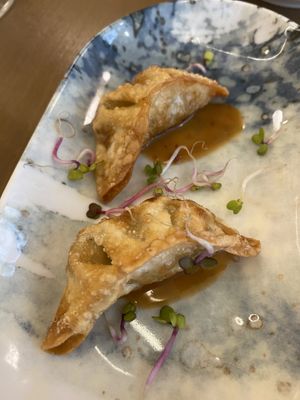 Mr White Gyoza  at Maora Restaurant - Batignolles in Paris