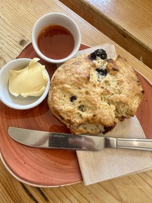 Blueberry scone & mango & strawberry jam  at Roots Cafe Inv in Inverness