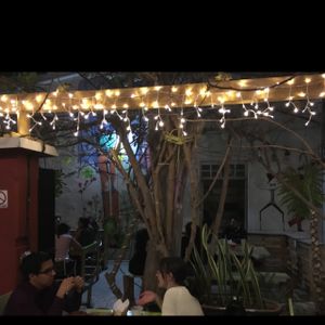 open garden at Maco Cafe in Queretaro