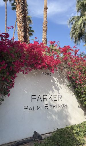   at Norma's in Palm Springs