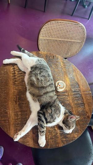  at DAS HOUSE Café & Bar in Vienna