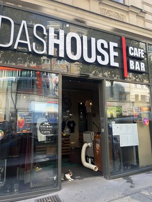  at DAS HOUSE Café & Bar in Vienna