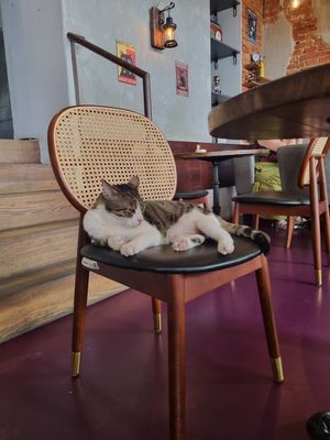  at DAS HOUSE Café & Bar in Vienna