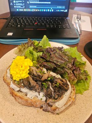  at O Jardim in Sao Paulo