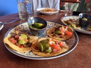 Oesterzwam taco’s  at Los Tontos Mexican Cantina in Zemst
