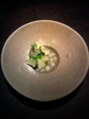 green apple sorbet with white chocolate, freeze-dried apple chips and tarragon  at Pramerl & the Wolf in Vienna