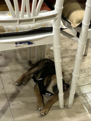   at Komorebivegan in Da Nang