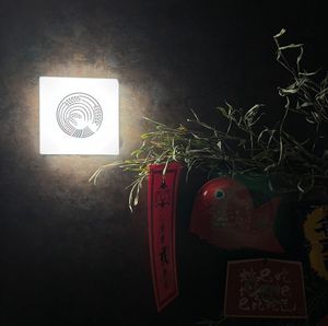 This is not just dinner. It’s a memory in the making —
a quiet journey into Japan’s soul.
Reservations only | English-friendly | LGBTQ+ inclusive | Vegan & sustainable at Japanese Fermented Degustation Bar ODORU in Osaka