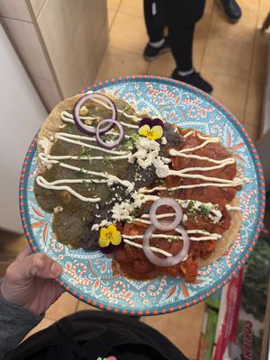 Mushroom divorced  at TU MEXICO in Krakow