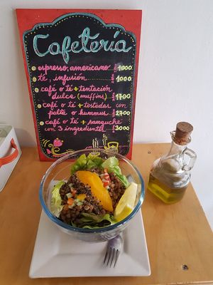 Daily main course (this day: lentils, coco cream and salad) at Vitaminica Portena in Valparaiso