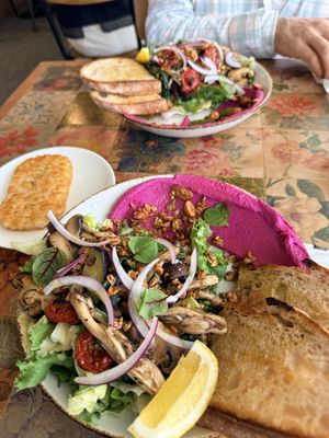 Mushroom beet hummus salad  at Spring Hill - 스프링힐 in Busan