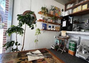 Inside   at Spring Hill - 스프링힐 in Busan
