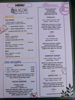  at BLASZAK - vegan ramen & more in Poznan