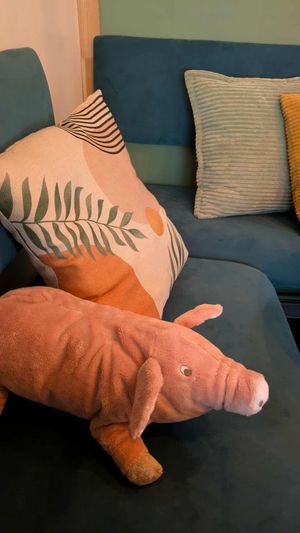  at BLASZAK - vegan ramen & more in Poznan