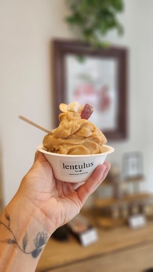  at lentulus in Mallorca