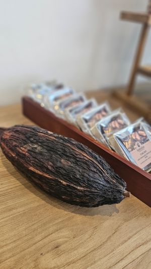  at lentulus in Mallorca