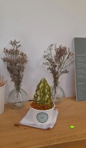 Helado doble pistacho con salsa de pistacho y galleta lotus at Olympia Frozen Yogurt in Santiago