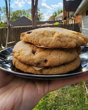  at Moe's Vegan Bites in Houston