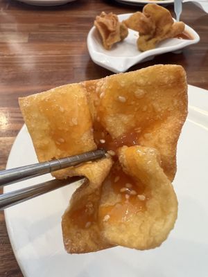 Wonton   at Blossom Vegan Restaurant in Pleasanton