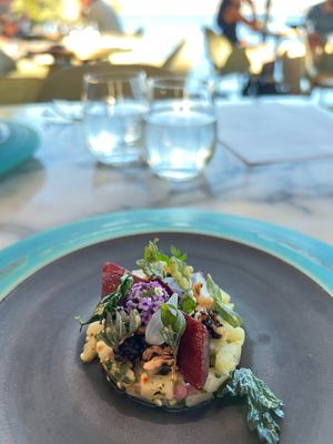 Gourmet vegan food at Vegan Tours Australia in Birchgrove