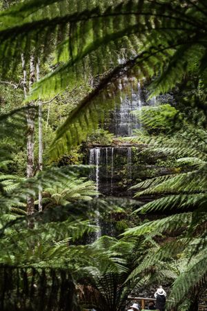 Stunning scenery at Vegan Tours Australia in Birchgrove