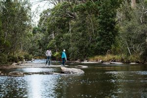 Untouched wilderness at Vegan Tours Australia in Birchgrove