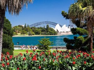 Sydney's iconic Opera House and Harbour Bridge at Vegan Tours Australia in Birchgrove