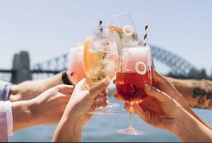 Cocktails overlooking the Sydney Harbour Bridge at Vegan Tours Australia in Birchgrove