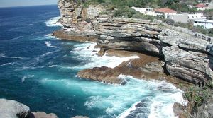Sydney's South Head at Vegan Tours Australia in Birchgrove