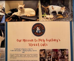 A noble cause.  at Pawsitive Vibes in Kuching