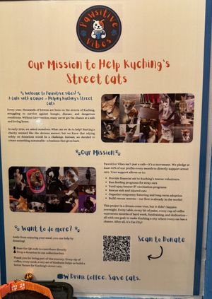 The mission.  at Pawsitive Vibes in Kuching