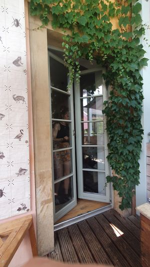 Picture of the terrace - really cozy and calm at tanteleuk in Dresden