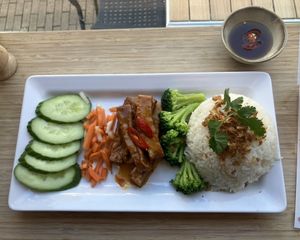 Rice and tofu  at Tra Bar! in Groningen