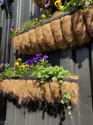 Outside Seating Area  at Bohemian Bakery - Merivale   in Christchurch