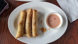 Vegetable spring rolls at Punjabi Rasoi in Tagbilaran