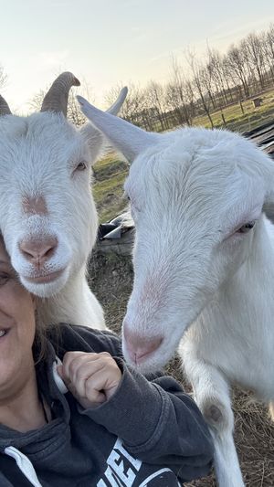   at Sanctuary het Wijland in Darp