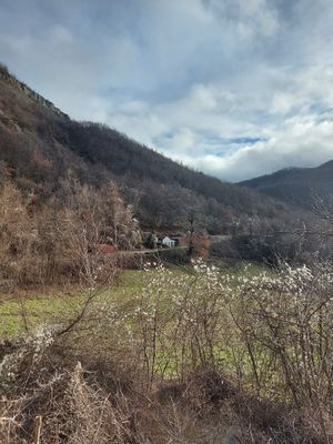 la vista  at Brugnola1932 Vegan Country House in Bardi