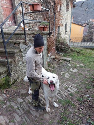 🤍  at Brugnola1932 Vegan Country House in Bardi