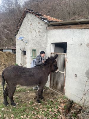 🤍  at Brugnola1932 Vegan Country House in Bardi
