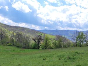 Immerso nella natura at Brugnola1932 Vegan Country House in Bardi