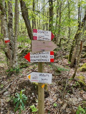 Sulla strada degli abati at Brugnola1932 Vegan Country House in Bardi