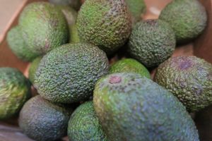 Shipley Health Foods at Shipley Health Foods in Bradford