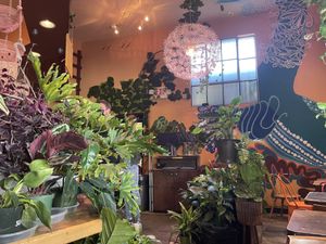 Beautiful and charming atmosphere  at Yuko Kitchen in Los Angeles