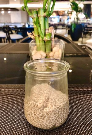 Chia pudding at Corniche All Day Dining Restaurant in Abu Dhabi